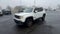 2016 Jeep Renegade 75th Anniversary