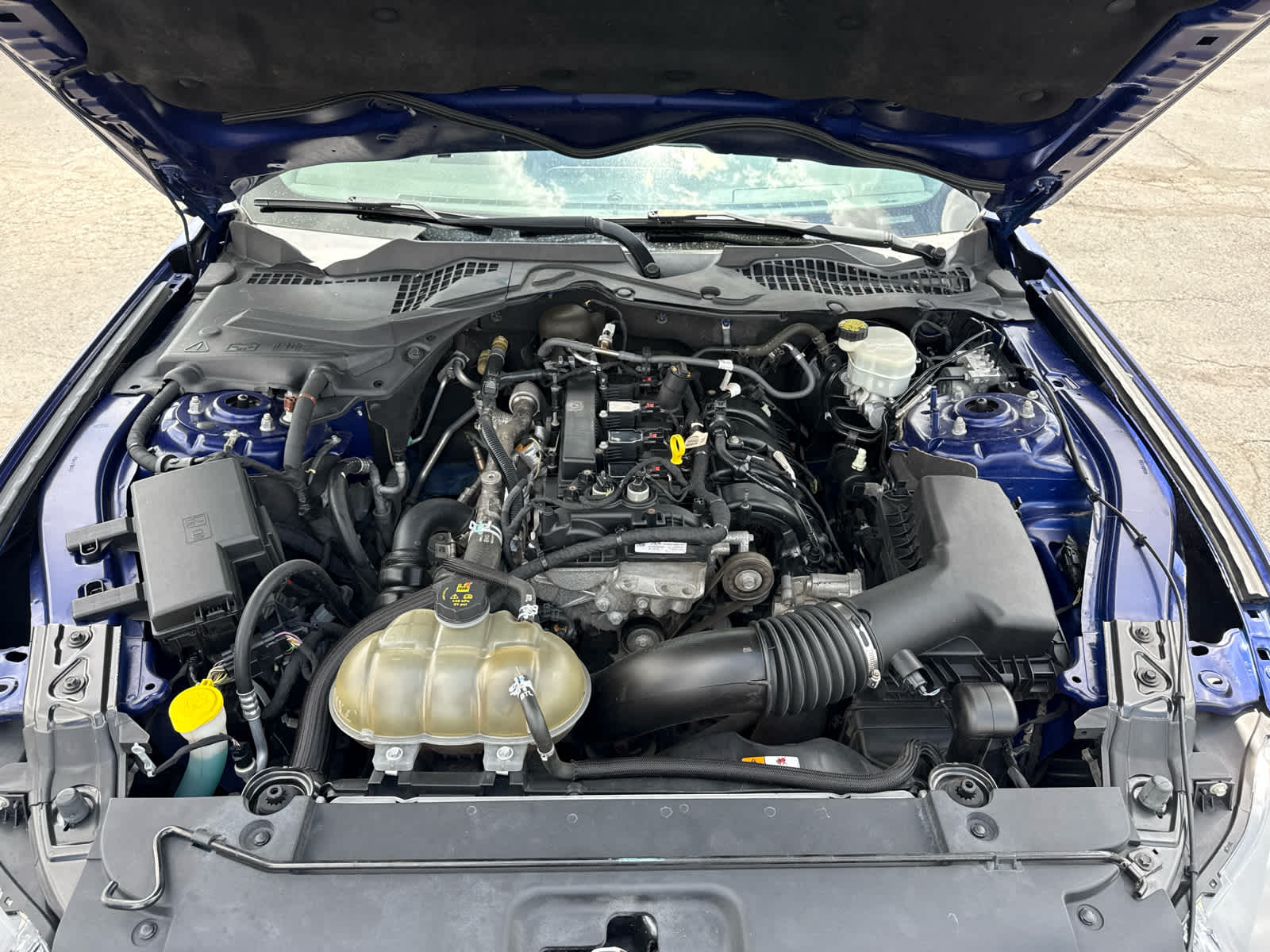 2016 Ford Mustang EcoBoost